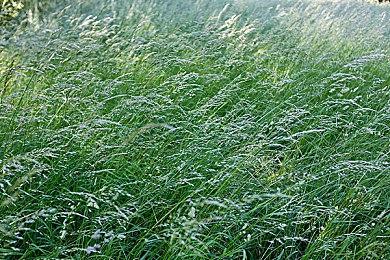 《维纳斯璀璨假期：死或生Xtreme》10分钟新实机演示 拍照玩法大展示